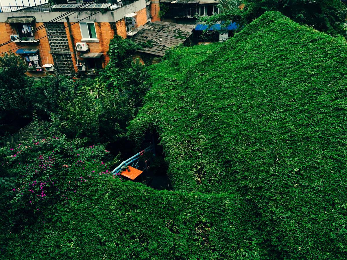 Hello Chengdu International Youth Hostel Dış mekan fotoğraf